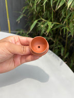 【藏紫砂巅峰 赠传世重器】非遗功勋国大师 邱玉林拍卖116万《彩球壶》原矿极品金降坡·260cc