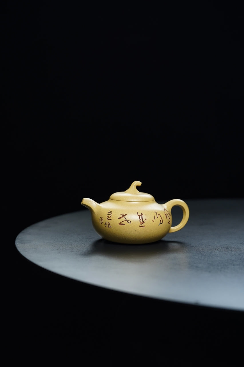 储立之大师｜中国陶瓷艺术终身成就奖获得者｜典藏重器【茄段壶】原矿优质本山段·380cc