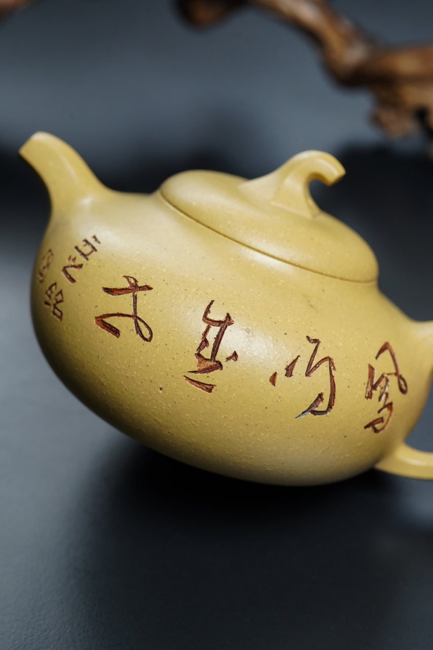储立之大师｜中国陶瓷艺术终身成就奖获得者｜典藏重器【茄段壶】原矿优质本山段·380cc