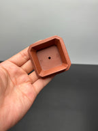 【重器藏品】江建翔大师高徒·杜益君高端系列·松鹤延年《福鼎八方》原矿优质底槽青·500cc大品
