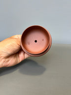 储立之大拍43万 同款 中国陶瓷艺术终身成就奖获得者 典藏重器【天际壶】原矿优质紫泥·680cc