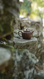 范大生嫡脉·江苏省大师范秀芳·紫砂臻品《明镜壶》原矿优质紫泥·200cc（入册款代表作）