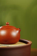 范泽锋大师高徒·省大师邱爽紫砂潜力重器【西施壶】原矿优质粗砂朱泥·120cc ——江苏省级大师·邱爽 亲制