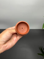 蒋蓉之女 传世花器｜蒋艺华·非遗紫砂顶流重器《松鼠葡萄壶》原矿优质降坡泥·580cc