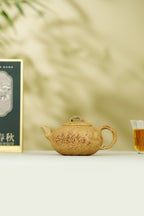 中国紫砂界原创花器艺术名家·陈真趣味臻品《隐龙之秋壶》原矿优质老段泥·180cc
