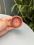 中华神刀·刻绘巅峰｜杨喜雨大师顶流臻品《秦权壶》原矿优质底槽清·260cc