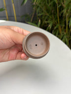 宏林山水·礼藏天下｜陈宏林大师传世巅峰臻品【福云壶】业界标杆·收藏送礼·重器之选 原矿优质松华青段·350cc