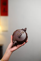 紫砂藏品｜高级工艺美术师·许时娟制【莲心壶】礼藏皆宜·匠心之作 泥料：原矿优质老紫泥·360cc