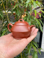 宜兴原矿紫砂·好工好料推荐《汉瓦壶》实拍 ——优质大红袍·150cc ——实力派陶艺家·杜鹃