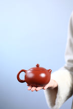 宜兴原矿高端紫砂《西施壶》小精品！ ——原矿优质粗砂朱泥·130cc ——实力派陶艺家·杨建