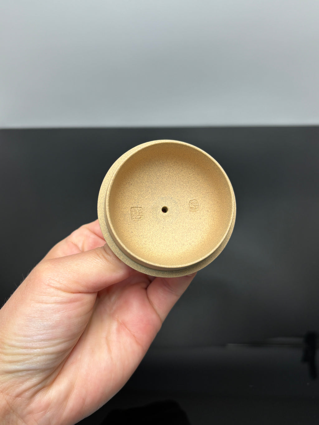 杨喜雨大师顶流臻品《西施壶》形神兼备·礼藏双宜·传世重器——原矿优质段泥·300cc