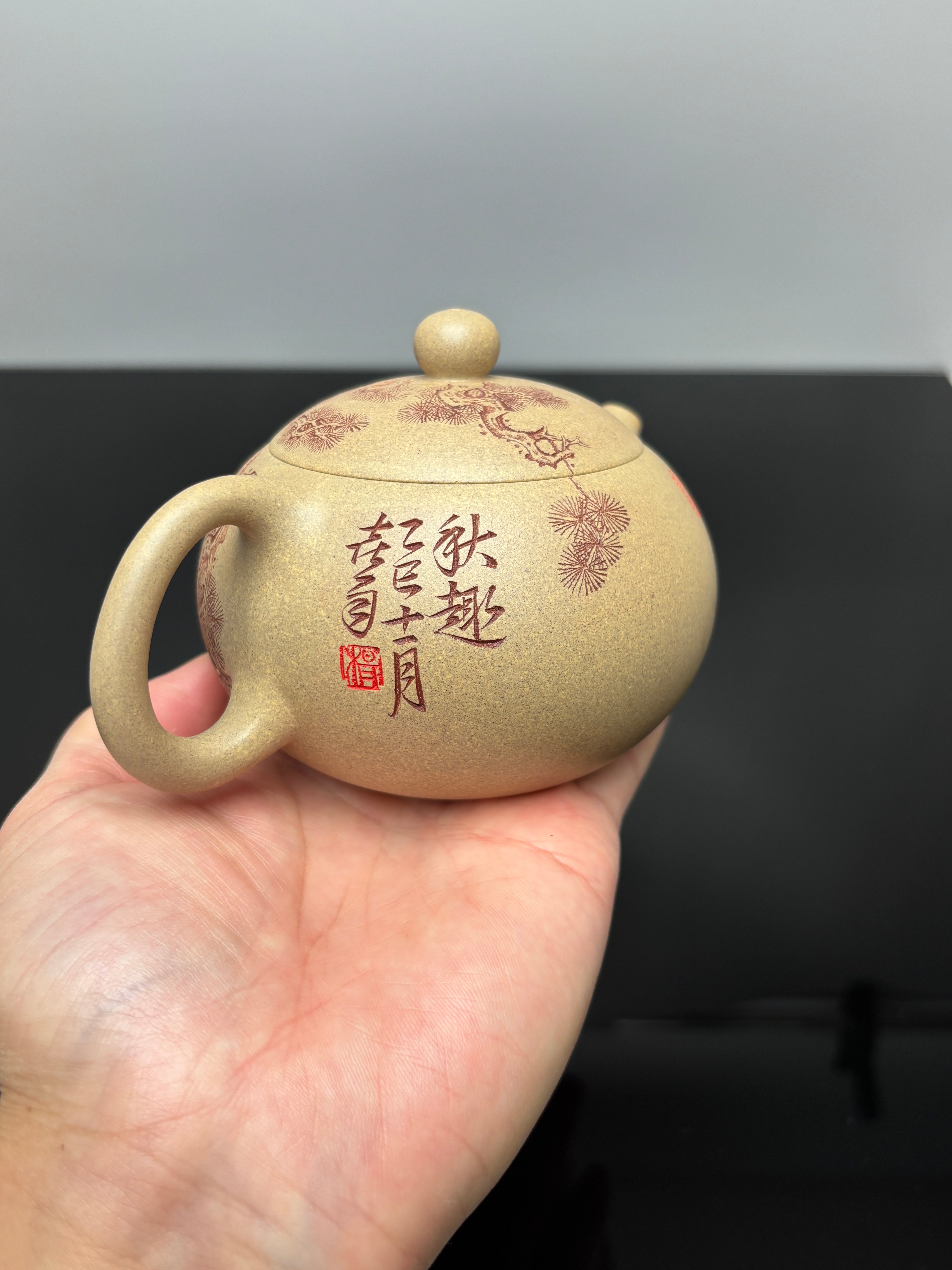 杨喜雨大师顶流臻品《西施壶》形神兼备·礼藏双宜·传世重器——原矿优质段泥·300cc