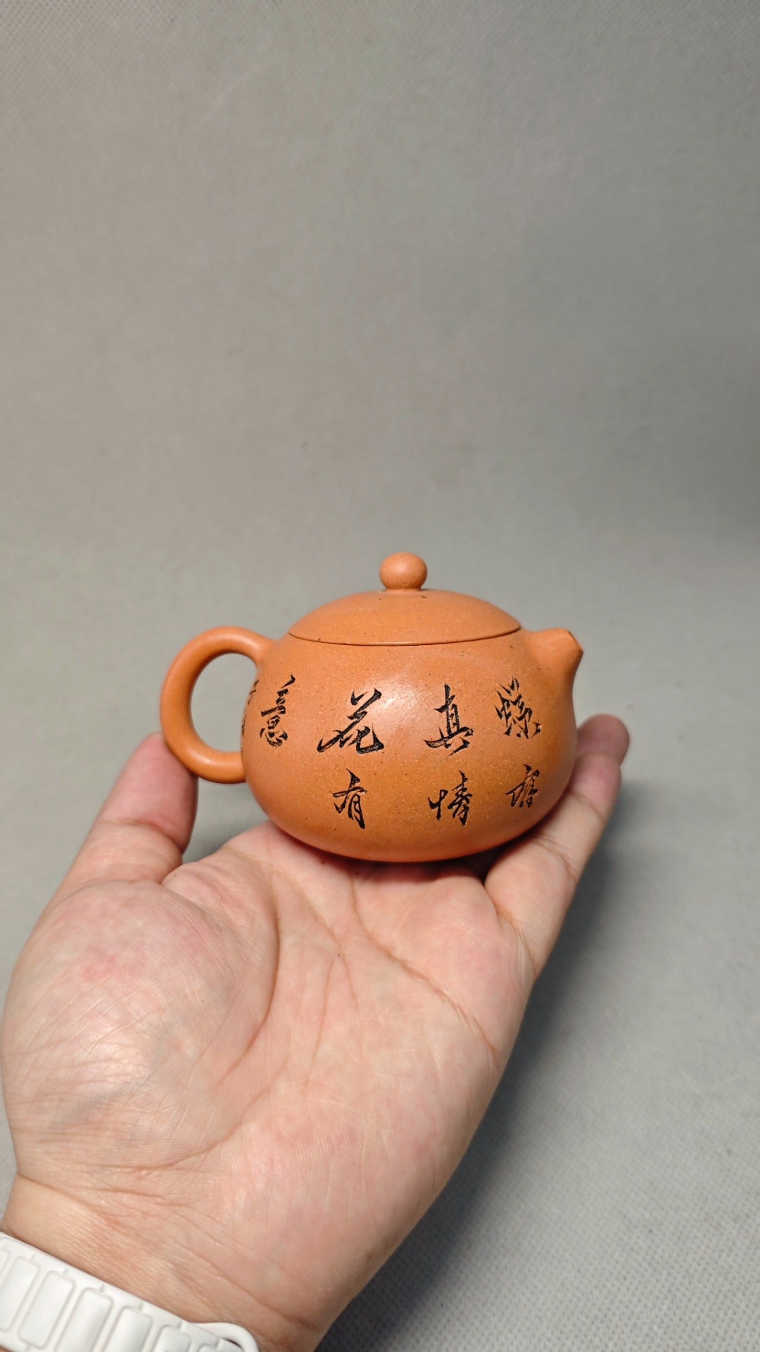 【西施】 泥料：原矿段泥 容量：160cc    孔数：9孔