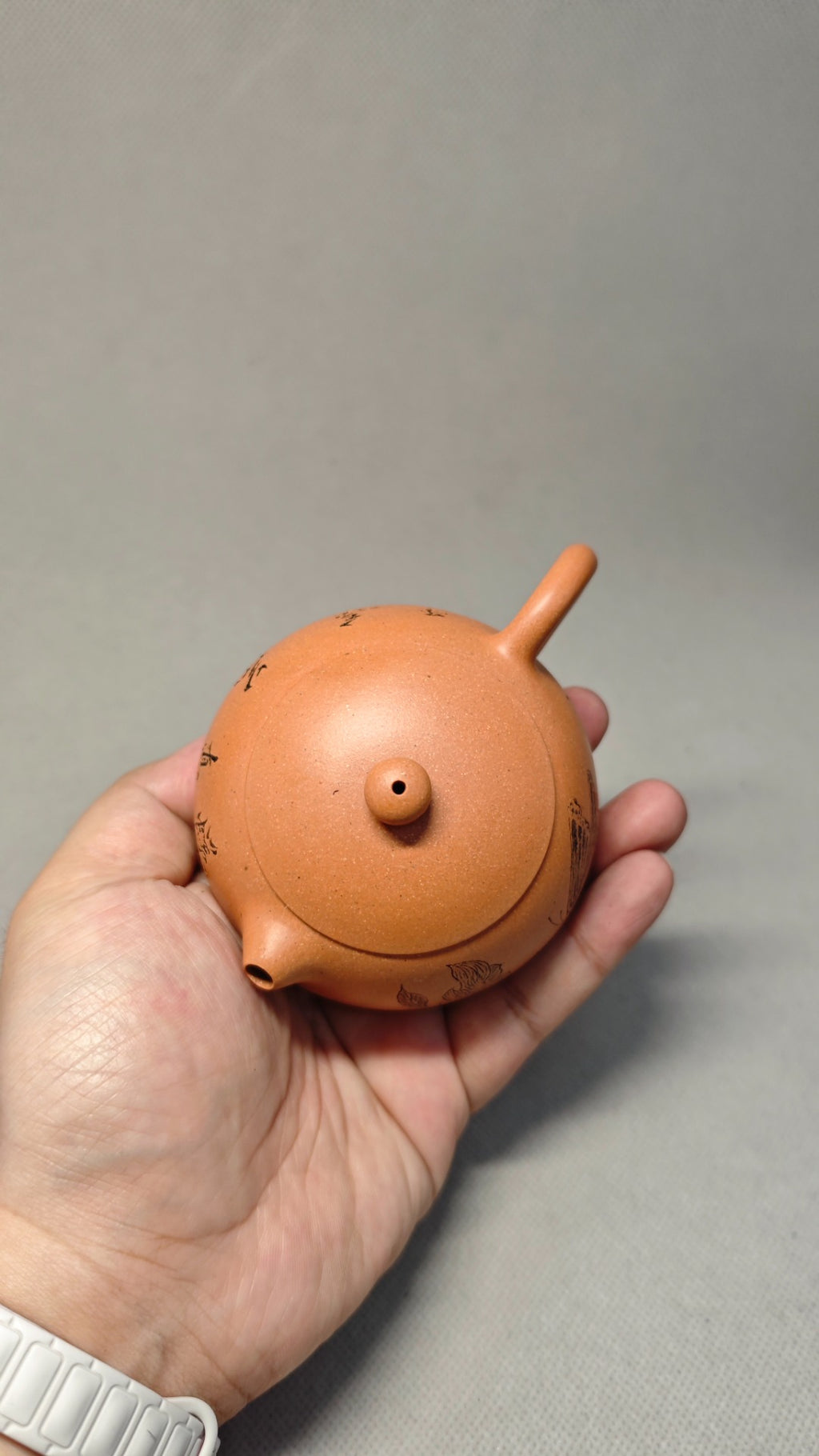 【西施】 泥料：原矿段泥 容量：160cc    孔数：9孔