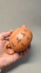 【西施】 泥料：原矿段泥 容量：160cc    孔数：9孔