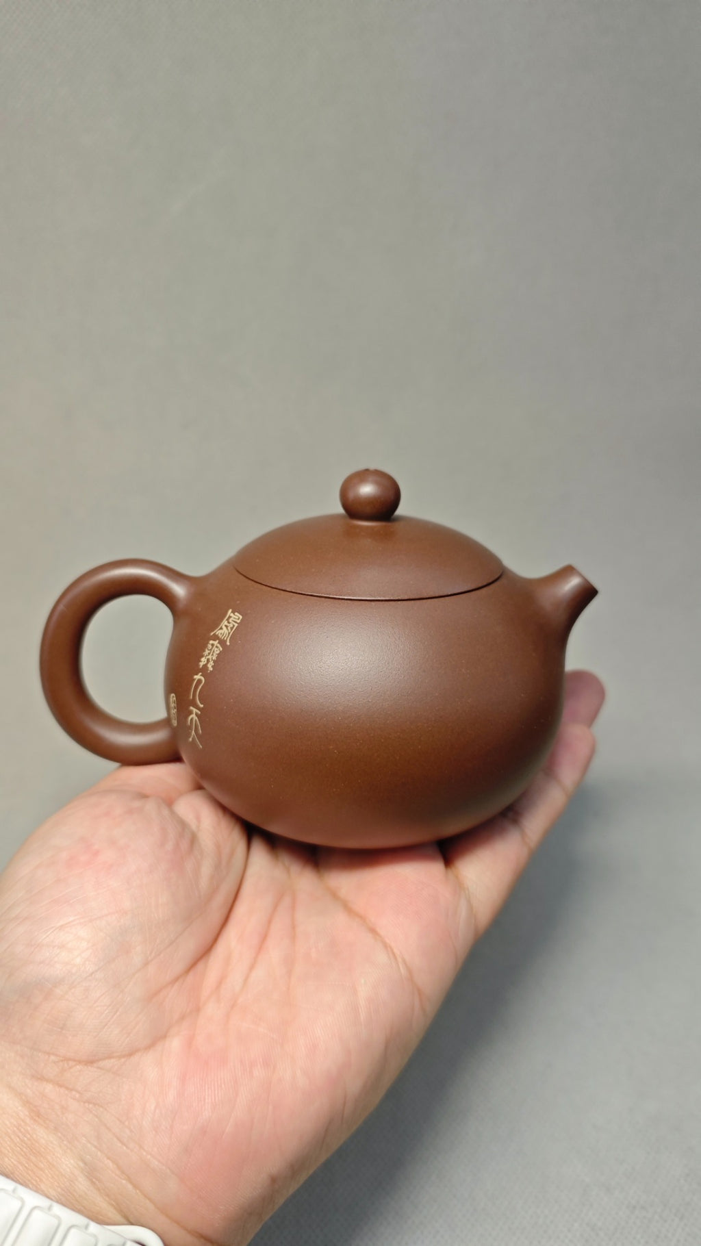 【西施】 泥料：原矿紫泥 容量：350cc    孔数：9孔