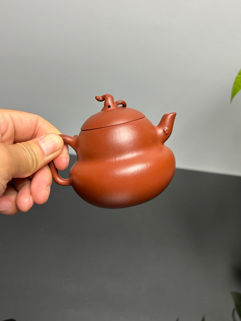 紫砂朱韵 礼藏臻品｜当代朱泥标杆人物｜非遗高层次艺术人才·徐伟强亲工《葫芦壶》高端礼藏重器！  原矿优质·朱泥·150cc