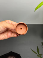 中国紫砂界当代梅王·朱炳浩(石陶）本工巅峰臻品《子冶石瓢》｜稀世臻藏·礼藏天花板重器——原矿优质金降坡·180cc