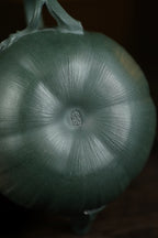 范大生嫡脉｜范秀芳制 范伟群装饰｜双省大师联诀紫砂臻品《大生南瓜壶》——优质九龄君子兰·280cc（入册款代表作）