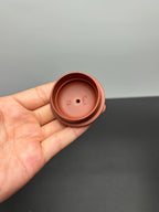 范泽锋高徒·邱爽紫砂潜力重器《松报春壶》是您礼藏皆宜的高端艺术品👍  ——原矿优质朱泥·200cc