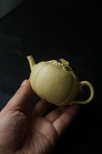壶名：南瓜壶 容量：130cc 泥料：本山段泥 南瓜造型，匠心独运.