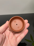 杨喜雨大师顶流臻品《竹林七贤壶》形神兼备·礼藏双宜·传世重器！  ——原矿优质底槽清·350cc ——紫砂刻绘全能艺术名家·杨喜雨 亲工