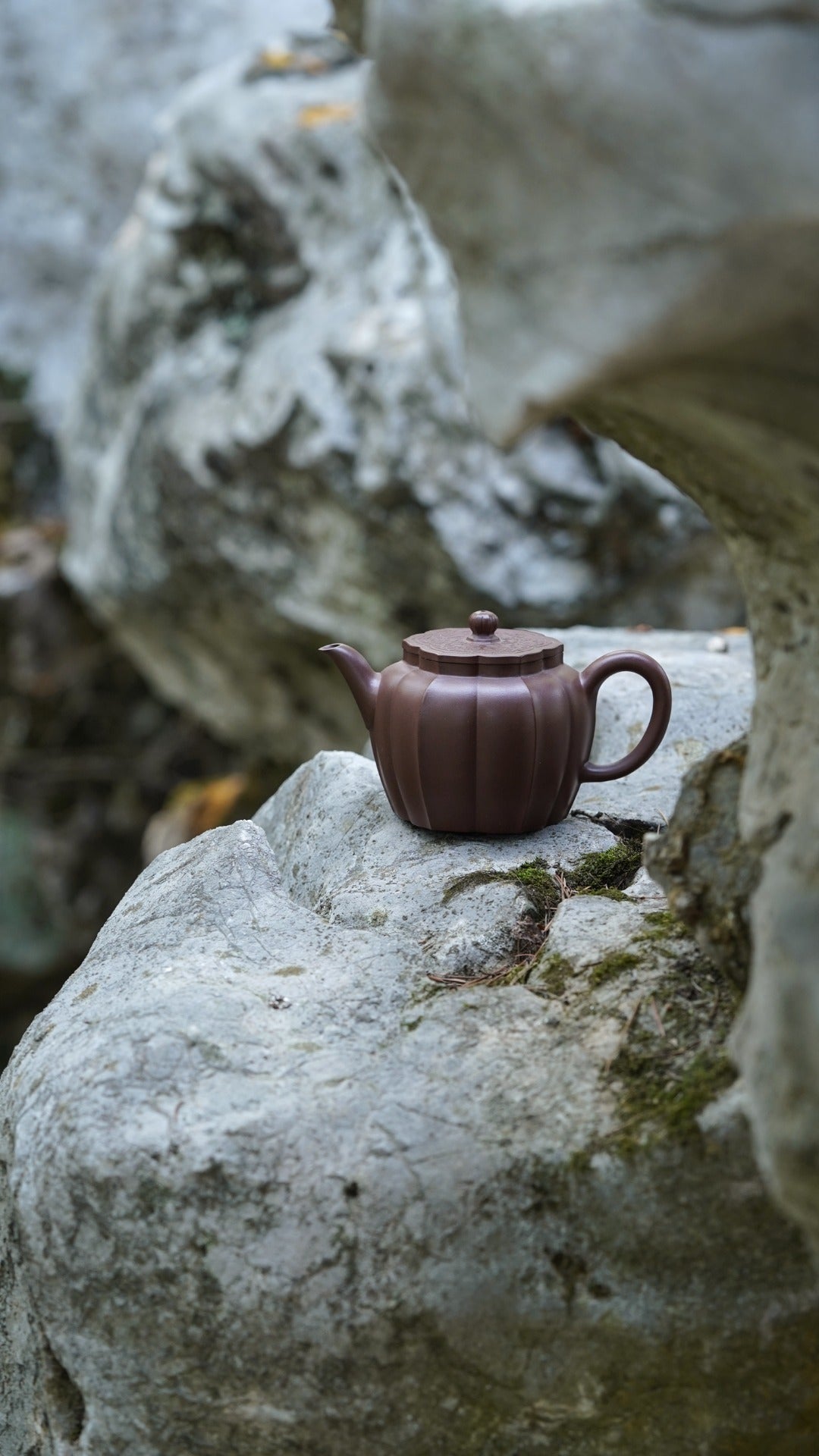 范大生嫡脉·江苏省大师范秀芳·紫砂臻品《明镜壶》 ——原矿优质紫泥·200cc（入册款代表作）