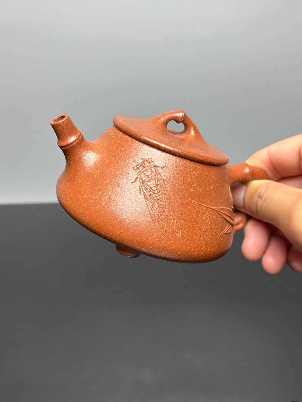 范泽锋大师高徒·省大师邱爽紫砂潜力重器【竹节平盖石瓢壶】——原矿优质金降坡·220cc——国大师邱玉林·装饰·知足常乐