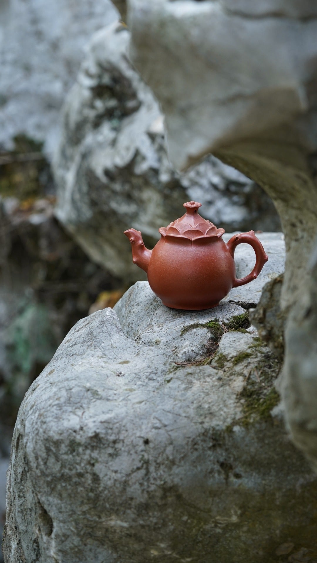 百年传承 紫砂世家｜大生壶第四代嫡传·省大师范秀芳臻品《千年红壶》一等奖——原矿优质梨皮朱泥·260cc