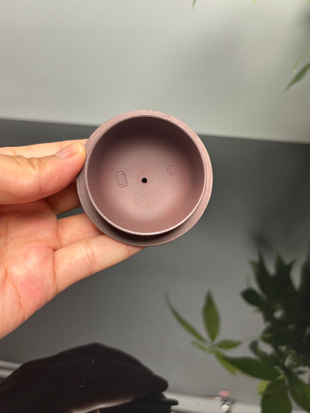 国大师 顾绍培➕省大师 储立之合作限量款——原矿优质高温紫茄泥·350cc ——江苏省工艺美术大师·储立之·制 ——中国工艺美术大师 顾绍培·装饰