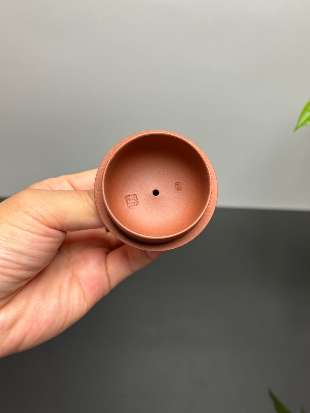 杨喜雨大师顶流臻品《秦权壶》龙——原矿优质底槽清·260cc ——紫砂刻绘全能艺术名家·杨喜雨 亲工