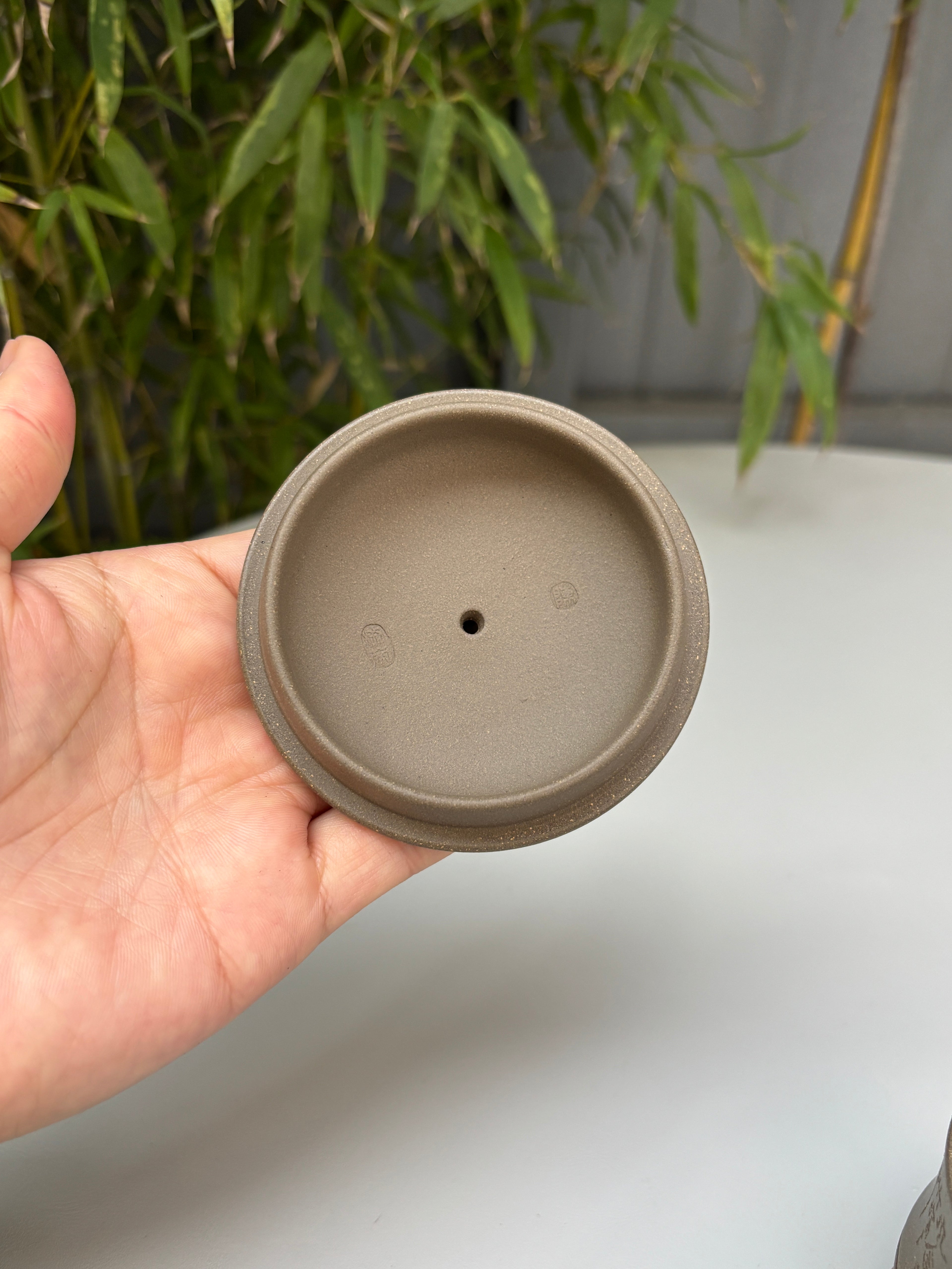 清风竹影 盖杯 青段泥200cc