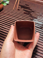 新品，何卫枫重器套组，云鼎四方，原矿优质底槽清·600cc，杯子180cc，一壶两杯两碟五件套！  【方器大师·何卫枫】
