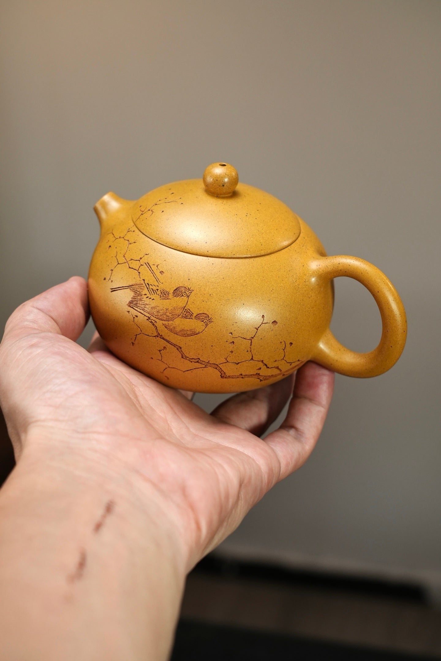 『西施』260cc 老宕口高温黄金段·内推14孔  花鸟刻绘，灵秀，传神，高温烧制，泥料质感独特，老味十足，泡养使用感非常出彩