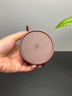 中国紫砂界当代梅王·朱炳浩(石陶）本工巅峰臻品《半月壶》——原矿优质底槽清·180cc ——任淦庭大师高徒｜朱炳浩（石陶）之作