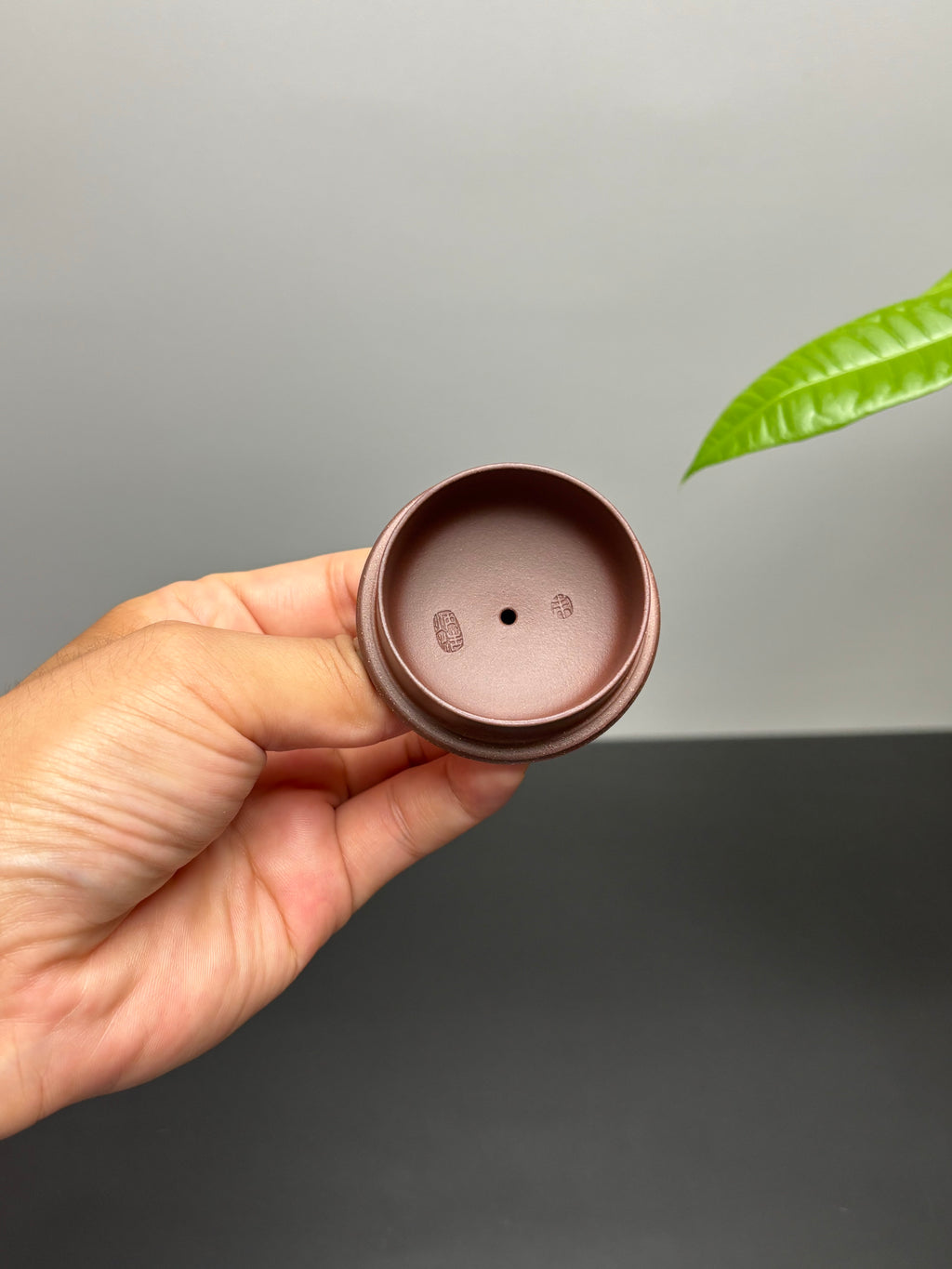 中国紫砂界当代梅王·朱炳浩(石陶）本工巅峰臻品《半月壶》——原矿优质底槽清·180cc ——任淦庭大师高徒｜朱炳浩（石陶）之作