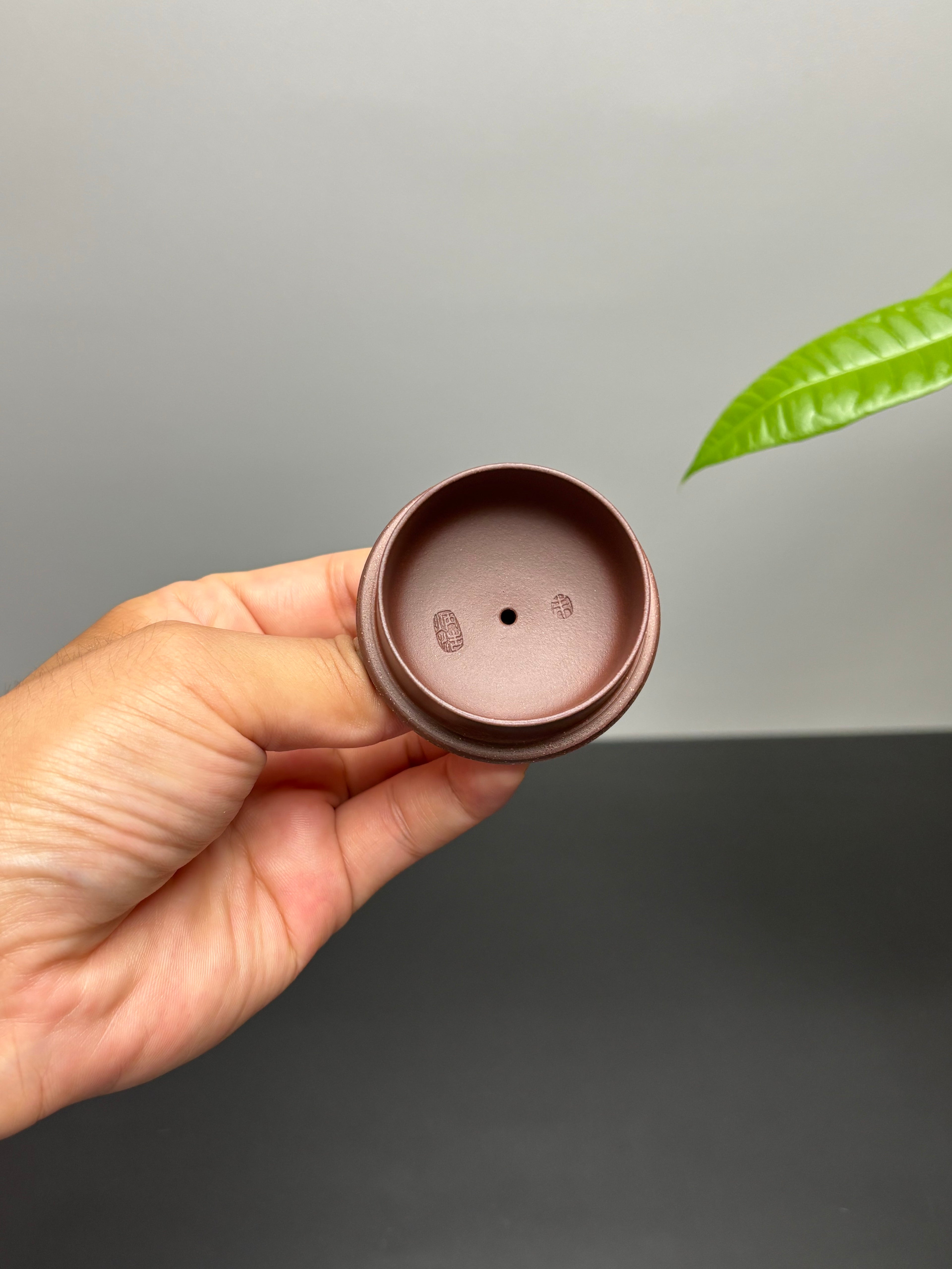 中国紫砂界当代梅王·朱炳浩(石陶）本工巅峰臻品《半月壶》——原矿优质底槽清·180cc ——任淦庭大师高徒｜朱炳浩（石陶）之作