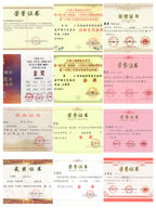 中国紫砂界荣誉之巅｜最年轻国大师 王潇笠稀世臻作《莲年有余壶》礼藏顶配｜传世潜力重器！  ——原矿优质老段泥·280cc ——中国工艺美术大师 王潇笠·亲制