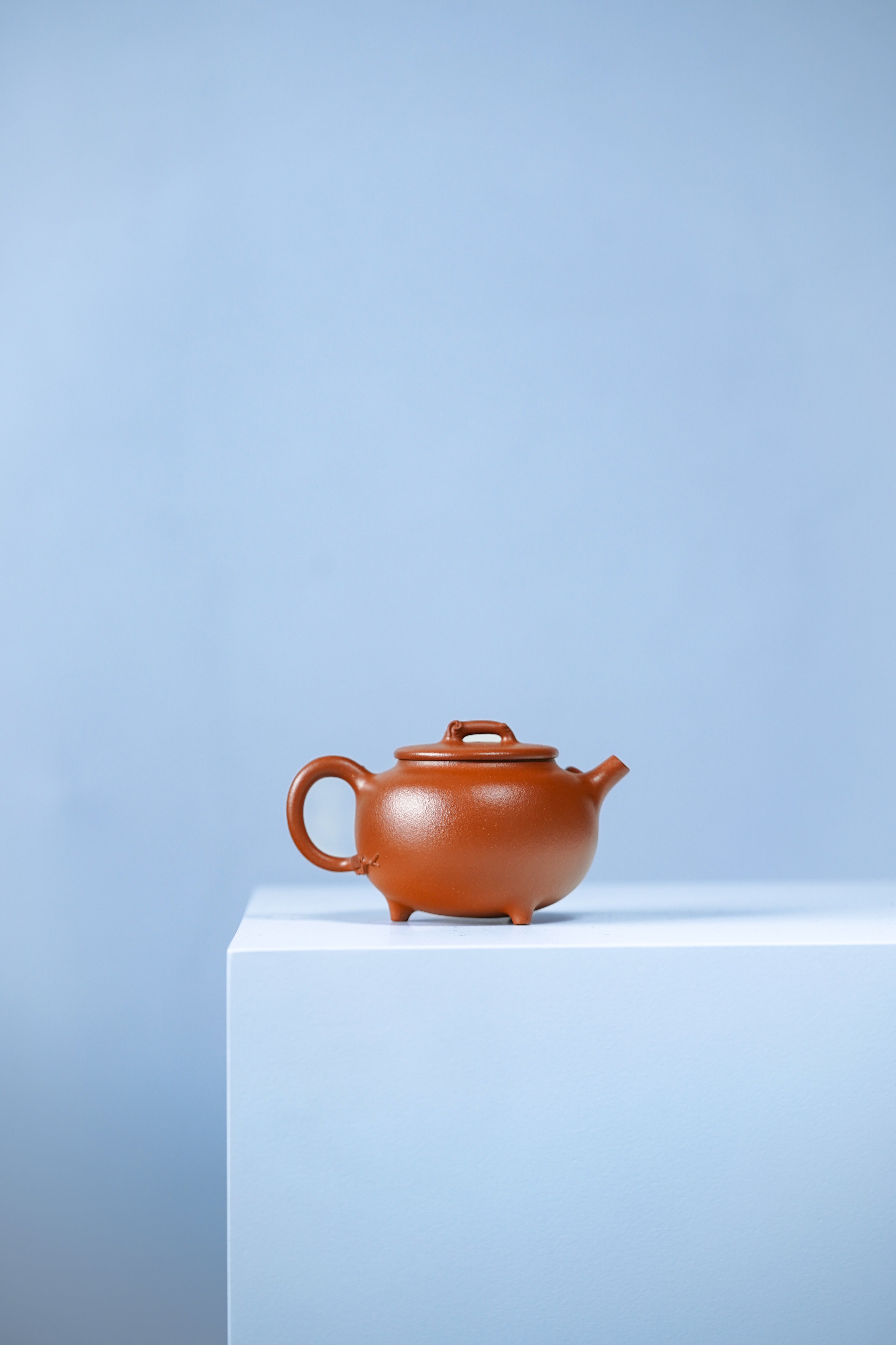 中国紫砂界荣誉之巅｜最年轻国大师 王潇笠稀世臻作《枝繁叶茂壶》礼藏顶配｜传世潜力重器！  ——原矿优质降坡泥·260cc ——中国工艺美术大师 王潇笠·亲制
