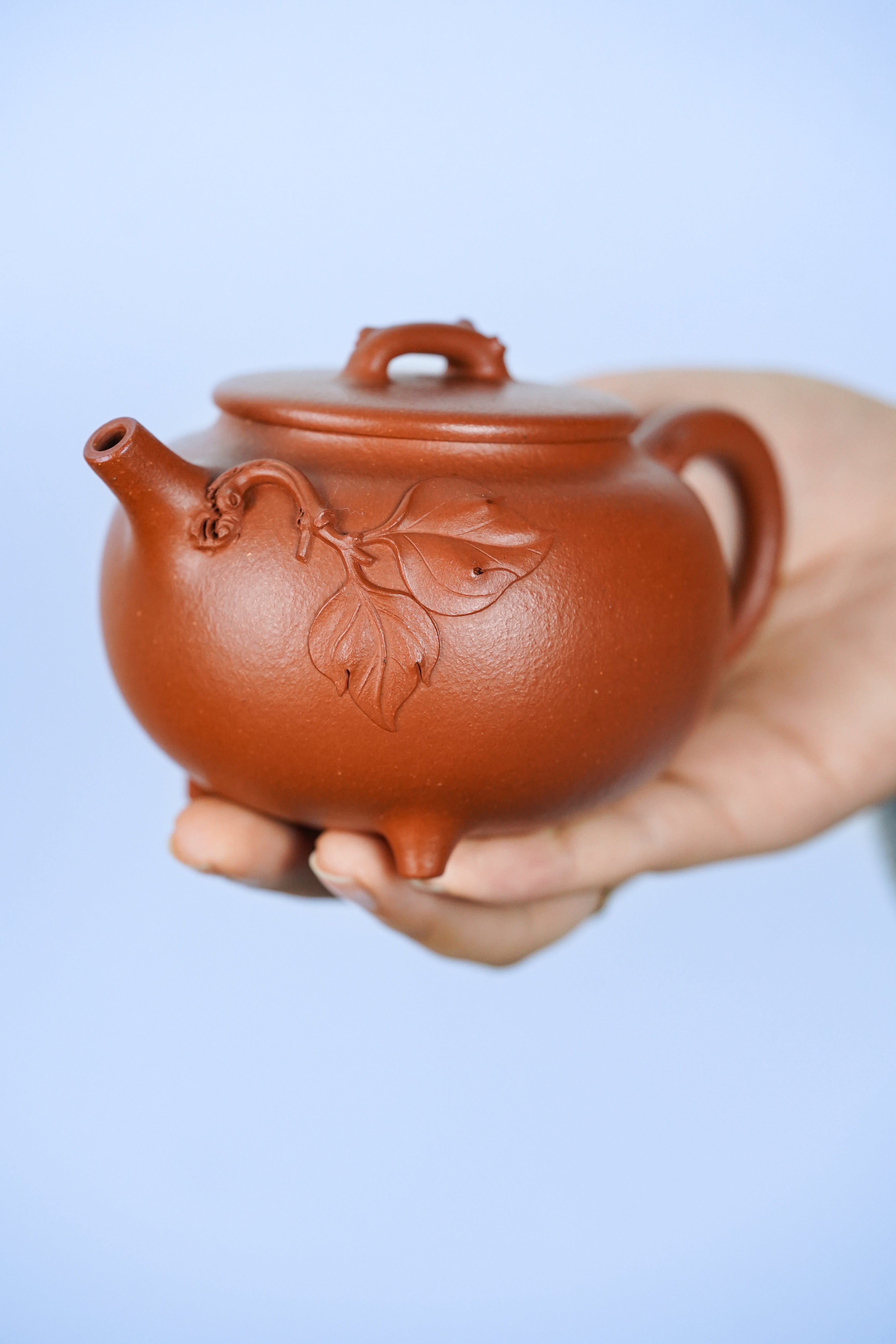中国紫砂界荣誉之巅｜最年轻国大师 王潇笠稀世臻作《枝繁叶茂壶》礼藏顶配｜传世潜力重器！  ——原矿优质降坡泥·260cc ——中国工艺美术大师 王潇笠·亲制
