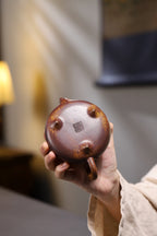 Yang Junbao's 【Hantang Stone Gourd】 Premium Quality Golden Section Wood Fired ● 230cc Author: Yang Junbao National Level Arts and Crafts Master - ZishaTeapotChina