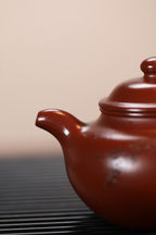 《莲子》 王敏（正高级工艺美术师） 装饰：李玮（江苏省陶瓷艺术大师，正高）作品简介：75年香山紫朱泥，300cc，菱形14孔出水