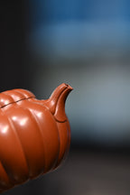 范坚【菊雷】  原矿大红袍  180ml  范坚，“大生壶”第五代嫡传，出生于江苏宜兴陶瓷世家范家，是大生壶第五代传人