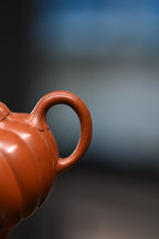 范坚【菊雷】  原矿大红袍  180ml  范坚，“大生壶”第五代嫡传，出生于江苏宜兴陶瓷世家范家，是大生壶第五代传人