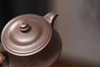 “大生壶”第五代嫡传  范家壶庄少庄主  范坚【惠风】  范坚制.张重庆刊  原矿紫泥  280ml