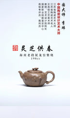 国大、省大重器推荐！！ 《灵芝供春》 作者简介：李玮 中国陶瓷设计艺术大师 江苏省陶瓷艺术大师海庚老段泥龙窑柴烧，190cc，内推球孔出水