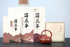 《南瓜提梁》 国家级高级工艺美术师 蒋亚平 原矿大红袍，200cc，菱形9孔出水
