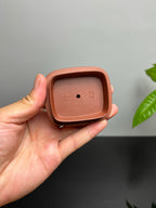 中国紫砂界当代梅王·朱炳浩(石陶）本工巅峰臻品《四方牛盖壶》｜稀世臻藏·礼藏天花板重器！(可接高端定制)  ——原矿优质底槽清·260cc ——任淦庭大师高徒｜朱炳浩（石陶）之作