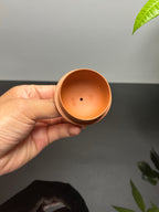 双宗师合璧·紫砂史巅峰 紫砂界天花板泥画｜何光宏·邱玉林联袂创作稀世孤品《秦权壶》——原矿优质老段泥·300cc ——省级大师·何光宏·亲绘 ——国大师邱玉林装饰·智者步步高