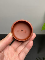 新品❤️原矿紫砂好料好工《珠润山居壶》实用精品！  ——原矿优质朱泥·190cc ——紫砂陶艺家·相新寅